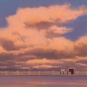 Meet your Posher, Ivy